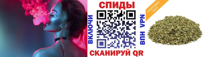 БУТИРАТ буратино Западная Двина
