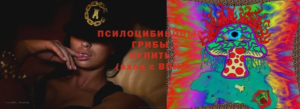 сатива Бабаево