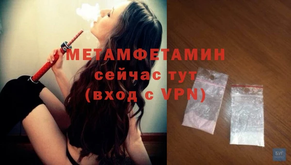 гидра Надым