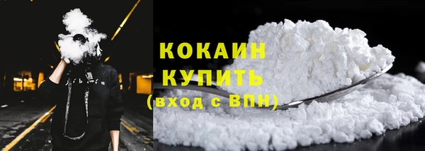 гидра Надым
