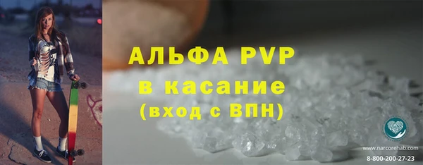 гидра Надым