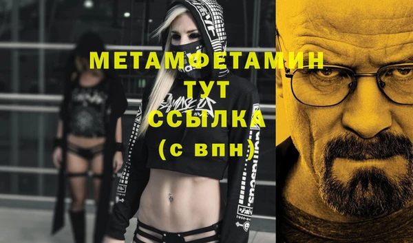 гидра Надым