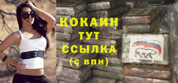 гидра Надым
