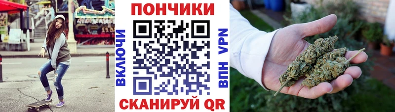 дарнет шоп  Западная Двина  Конопля ГИДРОПОН 